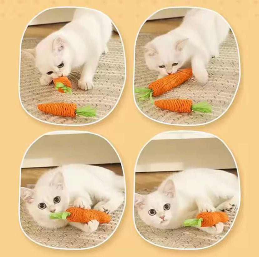 Kattleksak - Morot för tandhälsa