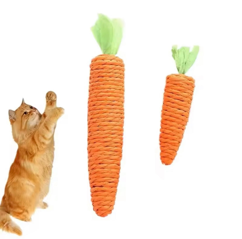 Kattleksak - Morot för tandhälsa