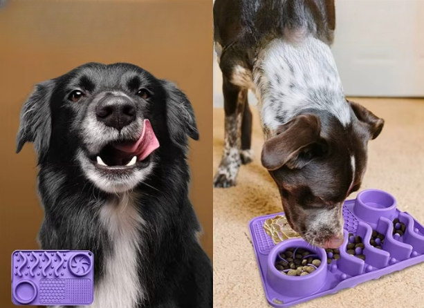 Matmattan - Mer än bara en matskål!