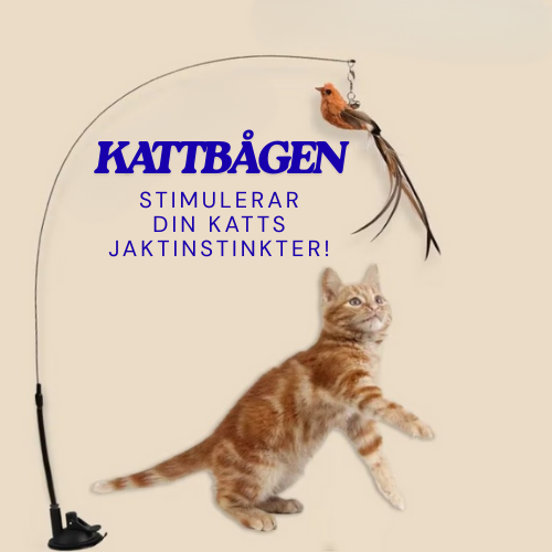 Kattbågen - För din katts hälsa!